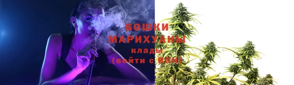 спайс Алексин